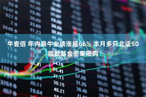 牛壹佰 年内最牛业绩涨超66% 本月多只北证50指数基金密集限购