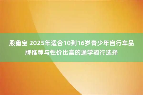 股鑫宝 2025年适合10到16岁青少年自行车品牌推荐与性价比高的通学骑行选择