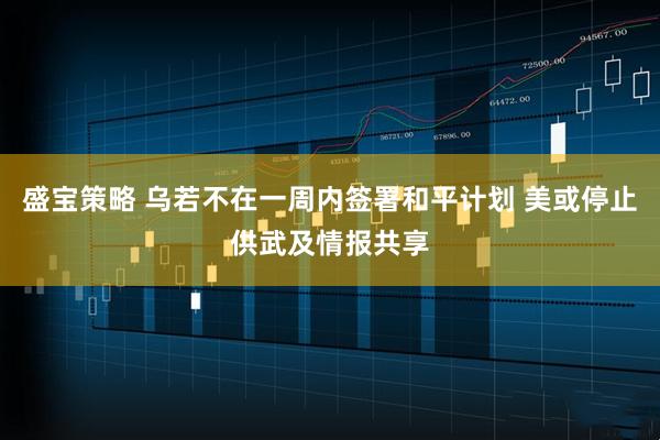 盛宝策略 乌若不在一周内签署和平计划 美或停止供武及情报共享