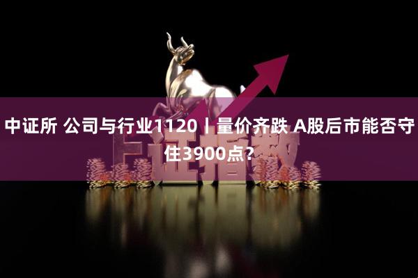 中证所 公司与行业1120丨量价齐跌 A股后市能否守住3900点？